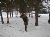 getImage (27)